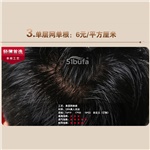 单层网单根